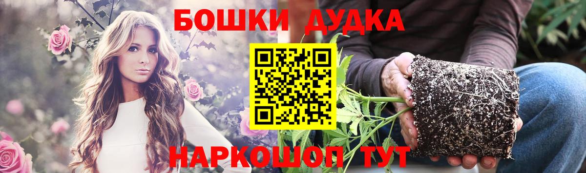 Бошки Шишки Amnesia Шелехов